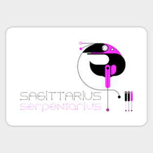 Sagittarius serpentarius ,Bird secretary Magnet